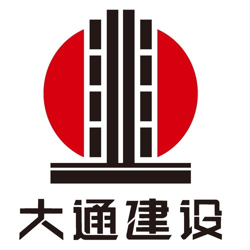 天津市大通建设发展集团