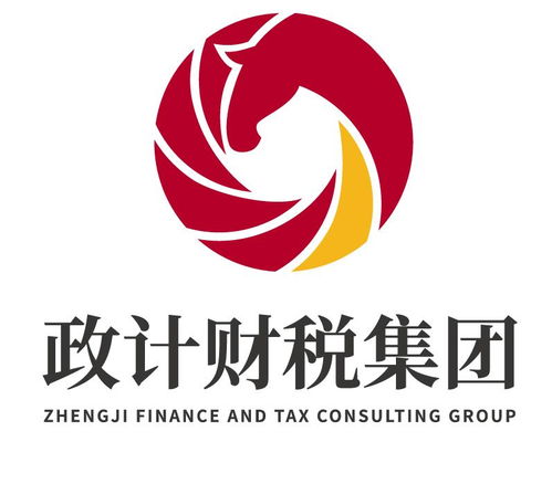 广西政计财税咨询集团