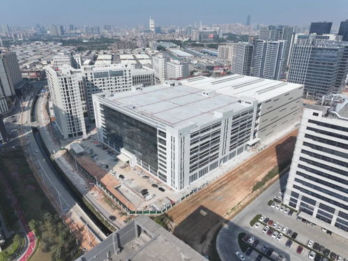 节前搬厂 节后投产 厚街将新增一家上市公司总部