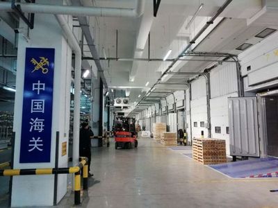 海南省考察团到辽宁自贸试验区大连片区参观考察