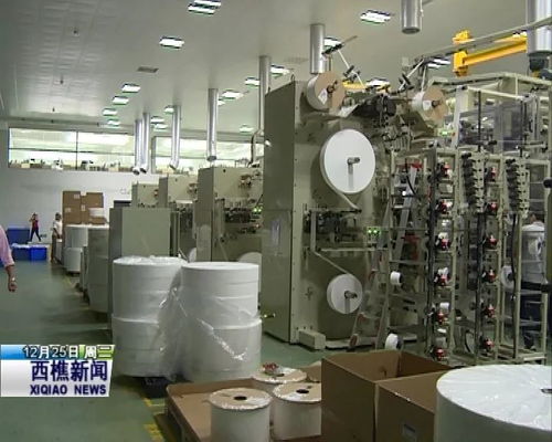 西樵 发挥产业集聚优势 提升卫生用品企业竞争力