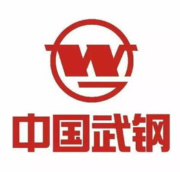 武钢集团的债转股