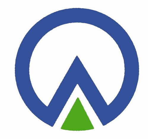 信义集团公司