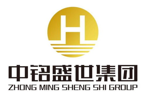 中铭盛世 深圳 影业集团