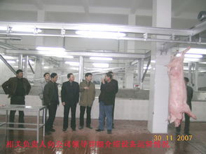 徽商食品天恒公司新肉联厂试产成功
