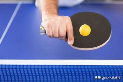 如何接住乒乓球旋球 今日头条