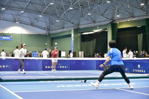 2025辽宁匹克球巡回赛鸭绿江杯丹东站开赛，振球启航