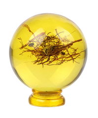 吉善缘琥珀球摆件 凝聚时光的雅致，馈赠情谊的臻品